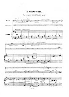 Piano Trio No.2 in D Minor, Op.32: Partitura completa by Jacob Rosenhain