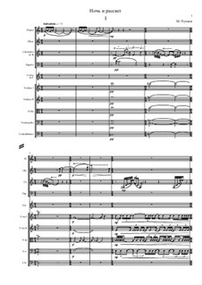 Night and Sunrise: Night by Mikhail Puchkov