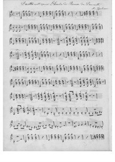 Duet on Theme from 'L'esule di Roma' by Donizetti for Two Guitars: Duet on Theme from 'L'esule di Roma' by Donizetti for Two Guitars by Mauro Giuliani