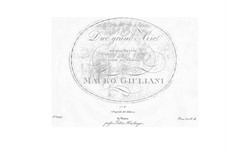 Two Grand Arias: para voz e guitarra by Domenico Cimarosa