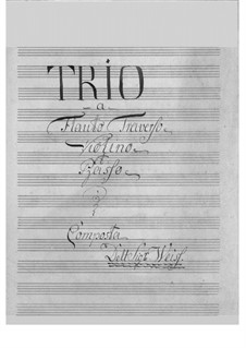 Trio for Flute, Violin and Basso Continuo: partes by Karl Weiss