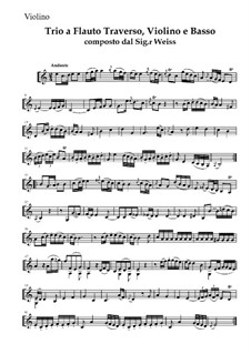 Trio for Flute, Violin and Basso Continuo: parte do violino by Karl Weiss