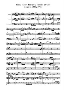 Trio for Flute, Violin and Basso Continuo: partitura completa by Karl Weiss