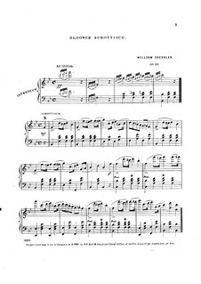 Bloomer Schottisch, Op.28: Bloomer Schottisch by William Dressler