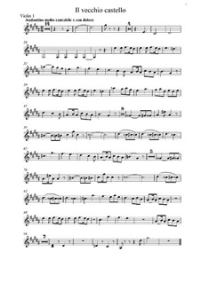 No.2 The Old Castle: Para cordas, partes by Modest Mussorgsky