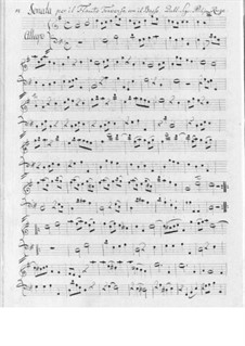 Sonata for Flute and Basso Continuo: soneto para flauta e fagote continuo by Filippo Ruge