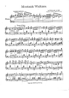 Montauk Waltzes: Montauk Waltzes by William H. Fry
