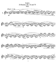 Twenty-Four Etudes for Flute, Op.32, 75: Twenty-Four Etudes for Flute by Luigti Hughes