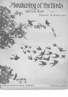 Awakening of the Birds: Awakening of the Birds by Henry S. Sawyer