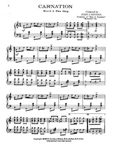 Carnation: Carnation by John J. Noonan