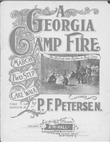 A Georgia Camp Fire: A Georgia Camp Fire by P. F. Petersen