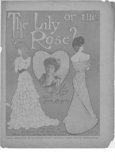 The Lily or the Rose: The Lily or the Rose by Alfred Solman