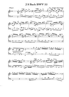 Geist und Seele wird verwirret, BWV 35: Movimento I. Arranjos para piano by Johann Sebastian Bach