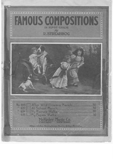 After Wild Flowers: After Wild Flowers by R. Streabbog