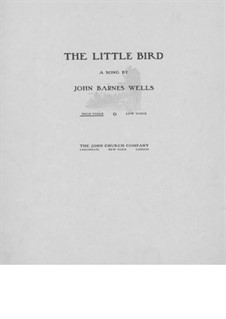 The Little Bird: The Little Bird by Jack Wells