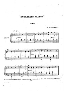 Evergreen Waltz: Evergreen Waltz by Isaiah T. Stoddard
