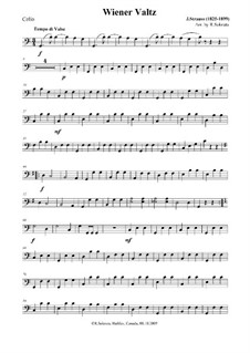 Viennese Waltz: Viennese Waltz by Johann Strauss (Sohn)