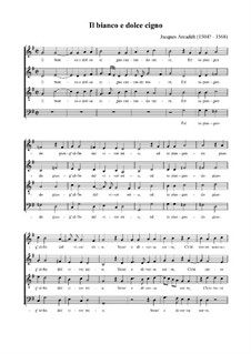 Il bianco e dolce cigno: partituras de vocais by Jacques Arcadelt