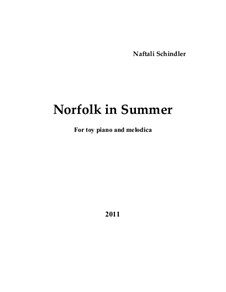 Norfolk in Summer: Norfolk in Summer by Naftali Schindler