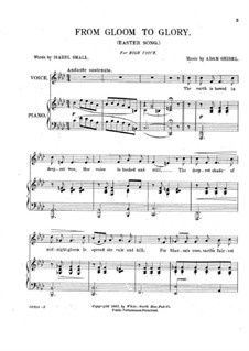 From Gloom to Glory: From Gloom to Glory by Adam Geibel