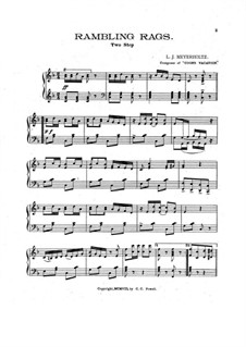 Rambling Rags: Rambling Rags by L. J. Meyerholtz