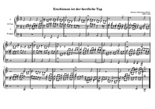 Erschienen ist der herrliche Tag, BWV 629: Erschienen ist der herrliche Tag by Johann Sebastian Bach