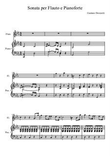 Sonata for Flute and Piano in C Minor: Sonata for Flute and Piano in C Minor by Gaetano Donizetti