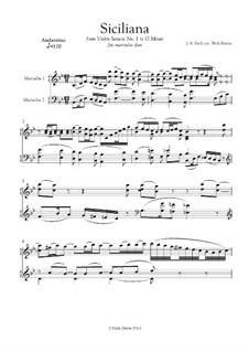 Sonata for Violin No.1 in G Minor, BWV 1001: Siciliano. Arrangement for two marimbas by Johann Sebastian Bach