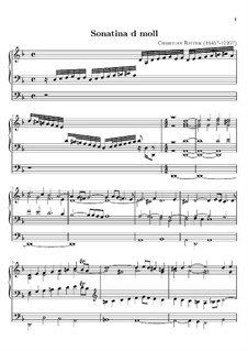 Sonatina in D Minor for Organ: Sonatina in D Minor for Organ by Christian Ritter