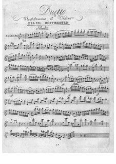 Duet for Violin and Flute: Duet for Violin and Flute by Franz Anton Hoffmeister