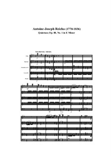 Woodwind Quintet in E Minor, Op.88 No.1: movimento I by Anton Reicha