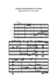 Woodwind Quintet in A Minor, Op.91 No.2: movimento I by Anton Reicha