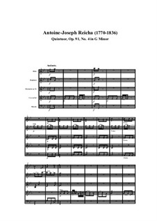 Woodwind Quintet in G Minor, Op.91 No.4: movimento I by Anton Reicha