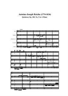 Woodwind Quintet in A Minor, Op.100 No.5: movimento I by Anton Reicha