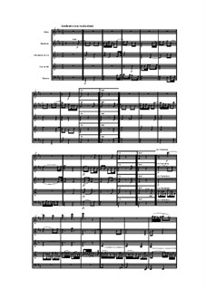 Woodwind Quintet in A Minor, Op.100 No.5: movimento II by Anton Reicha