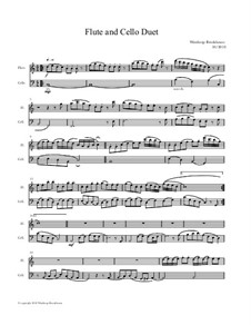 Flute and Cello Duet: Flute and Cello Duet by Winthrop Brookhouse