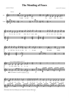 The mending of fuses for alto and guitar: The mending of fuses for alto and guitar by David W Solomons