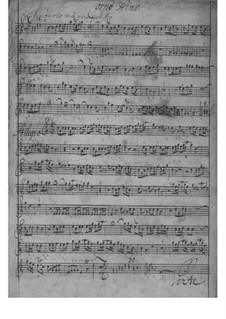 Concerto for Two Horns and Orchester in D Major, TWV 52:D2: Concerto for Two Horns and Orchester in D Major by Georg Philipp Telemann