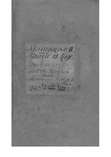 Concerto grosso in E Flat Major, Fwv L: Es 1: partes by Johann Friedrich Fasch