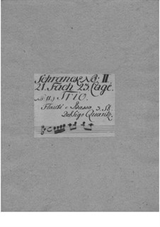 Trio Sonata for Two Flutes and Basso Continuo in D Major, QV 2:12: Trio Sonata for Two Flutes and Basso Continuo in D Major by Johann Joachim Quantz