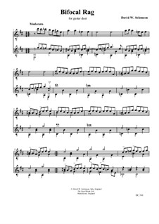 Bifocal Rag: para guitarra com guia by David W Solomons