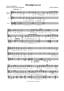 Moonlight on sea: For mezzo soprano, alto, guitar by David W Solomons