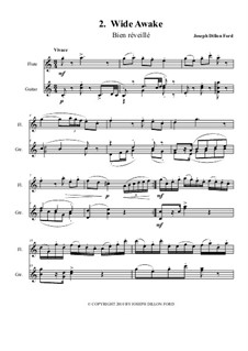 Haiti Disaster relief Concert (Dodo Titite): 8th movement - flute and guitar by Joseph Dillon Ford