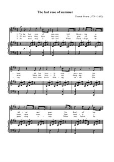 The Last Rose of Summer: Em E maior by John Stevenson