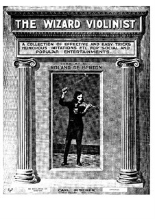 The Wizard Violinist: The Wizard Violinist by Roland de Berton