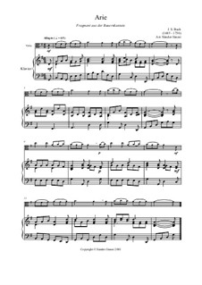 Mer hahn en neue Oberkeet, BWV 212: Arie, für Bratsche und Klavier by Johann Sebastian Bach