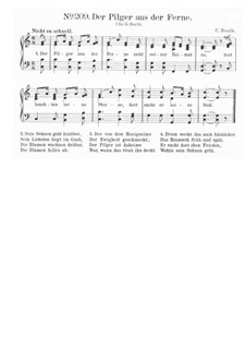 Der Pilger aus der Ferne: Der Pilger aus der Ferne by Johannes Christian Beurle