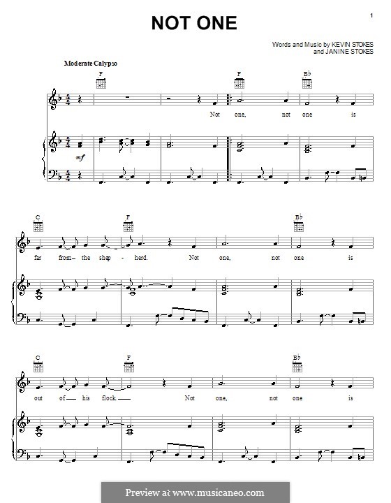 Not One: Para vocais e piano (ou Guitarra) by Janine Stokes