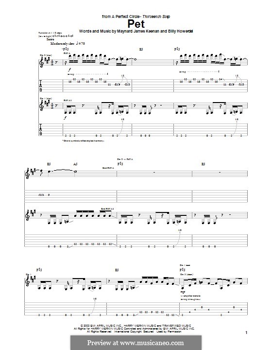 Pet (A Perfect Circle): Гитарная табулатура by Billy Howerdel, Maynard James Keenan