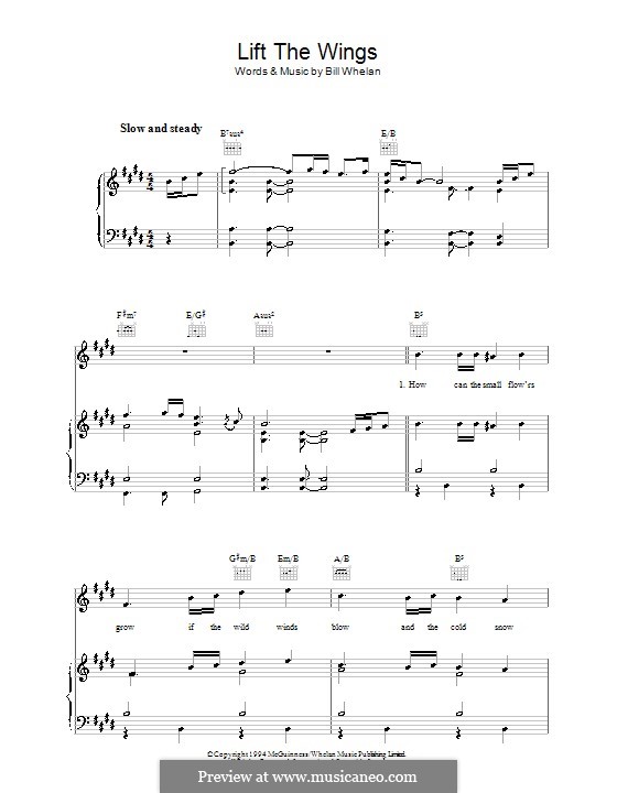 Lift the Wings (from Riverdance): Для голоса и фортепиано (или гитары) by Bill Whelan